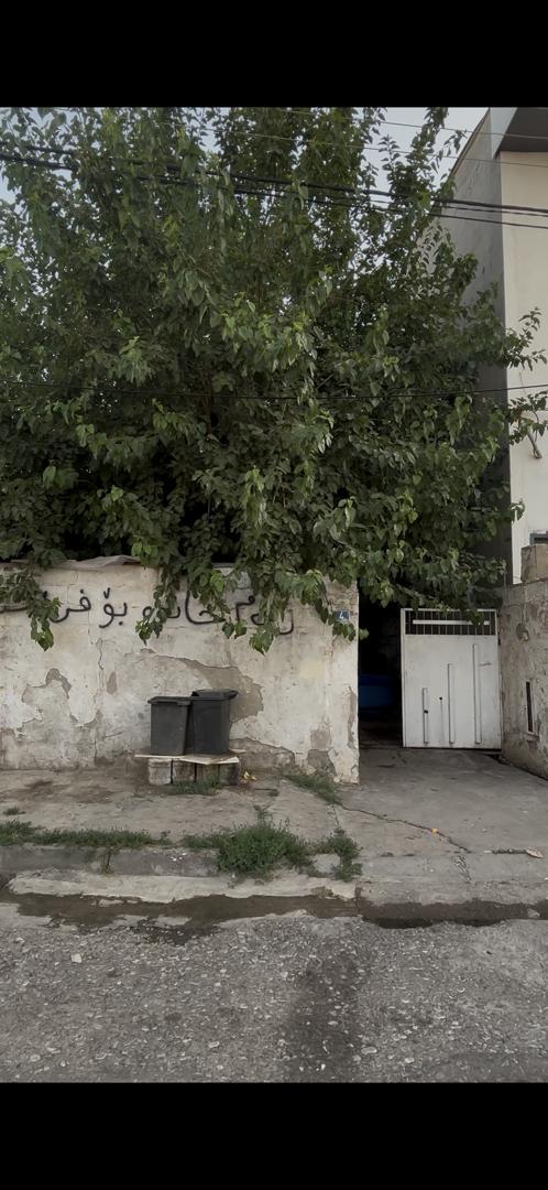 موفتی نزیک ٤٠ م
